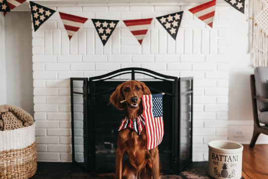 Celebrating Independence Day with Pet-Friendly Precautions: Ensuring a Fear-Free Fourth of July for Our Beloved Pets - uveprint