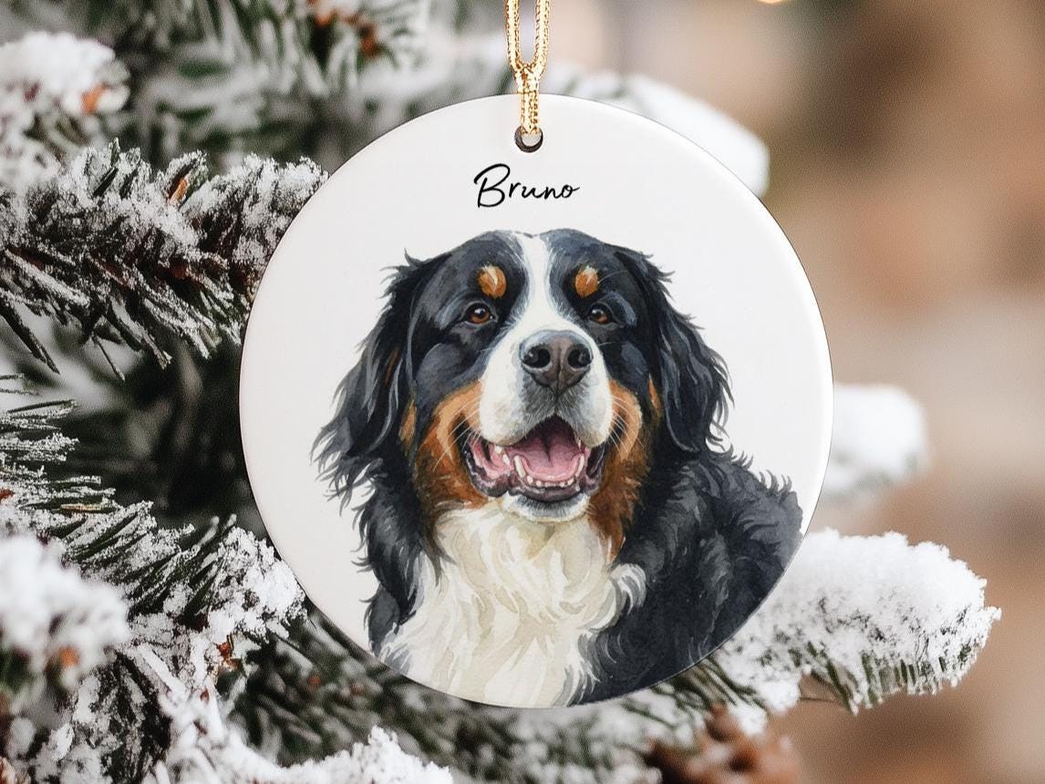 Custom Pet Photo Ornament, 3mm Porcelain Keepsake, Personalized++