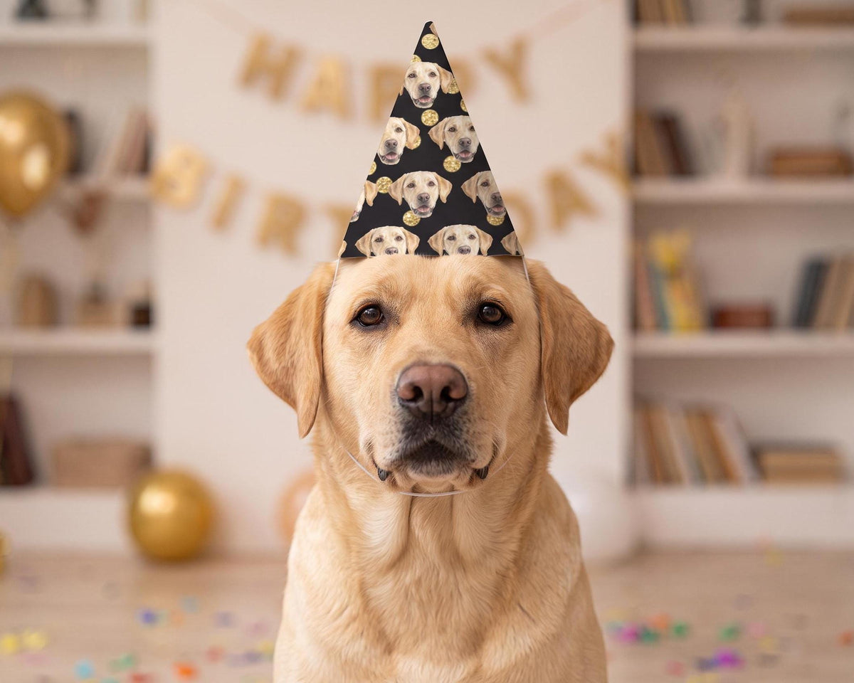 Custom Pet Party Hat', Dog & Cat Photo Hat, 6.69In X 4.33In Name.