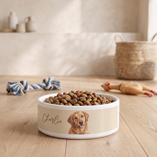 Personalized Pet Bowl, Ceramic 16oz Dog Cat Photo Name Bowl 6" -