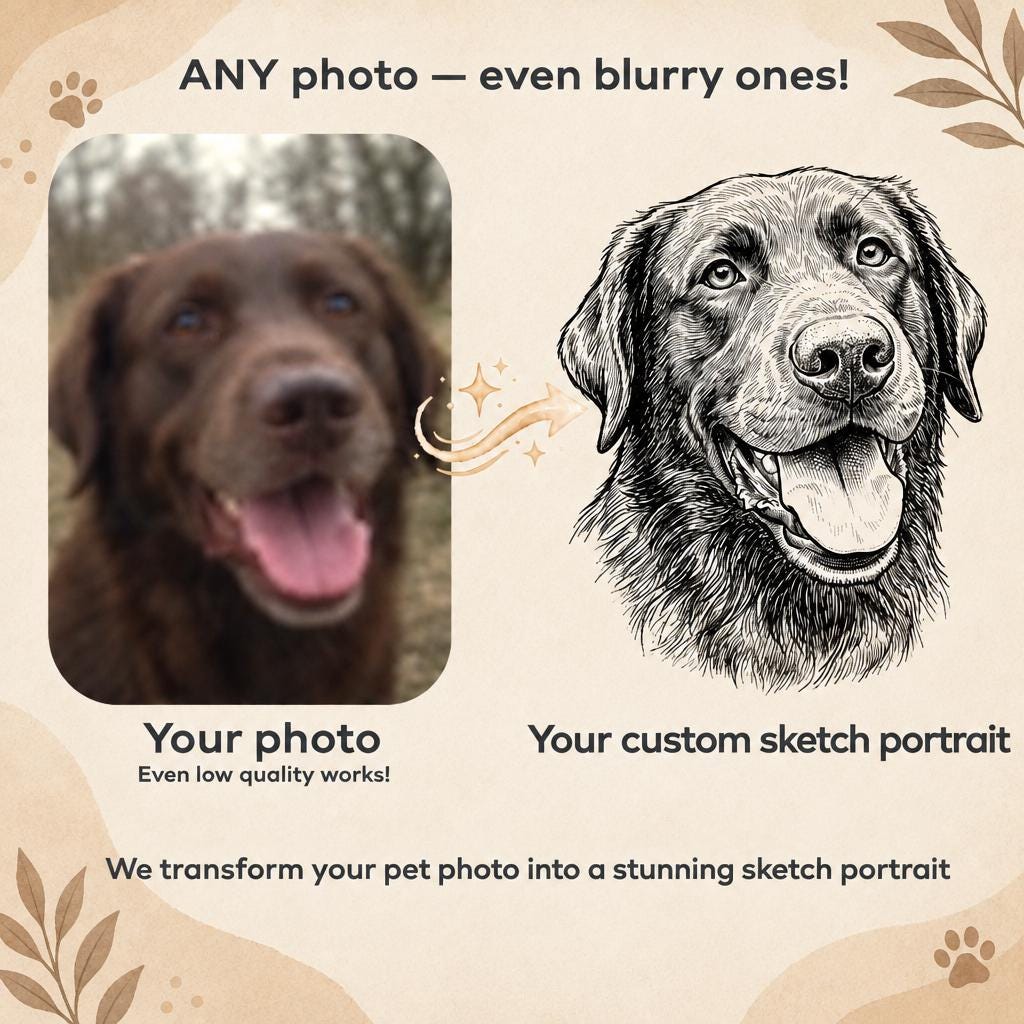 The image is a promotional material for a service that allows users to transform their pet photos into custom sketches. It features a close-up of a dog's face and a sketch of the same dog, both accompanied by text that describes the service.