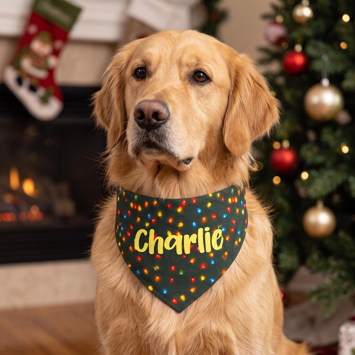 Personalized Christmas Dog Bandana, Custom Name Plaid, Clip-On XS