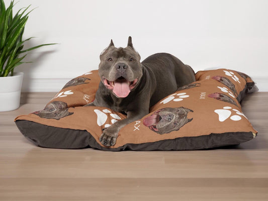 A happy pit bull relaxes on a custom dog bed featuring its face, paw prints, and the name "MAX." The soft, cushioned bed is designed for comfort. The setting is modern and cozy, with a potted plant adding a touch of greenery.