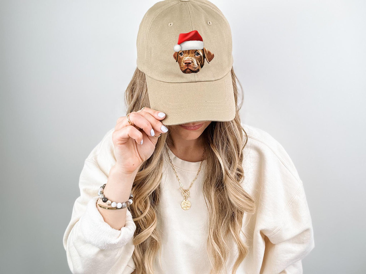 Custom Pet Christmas baseball hat