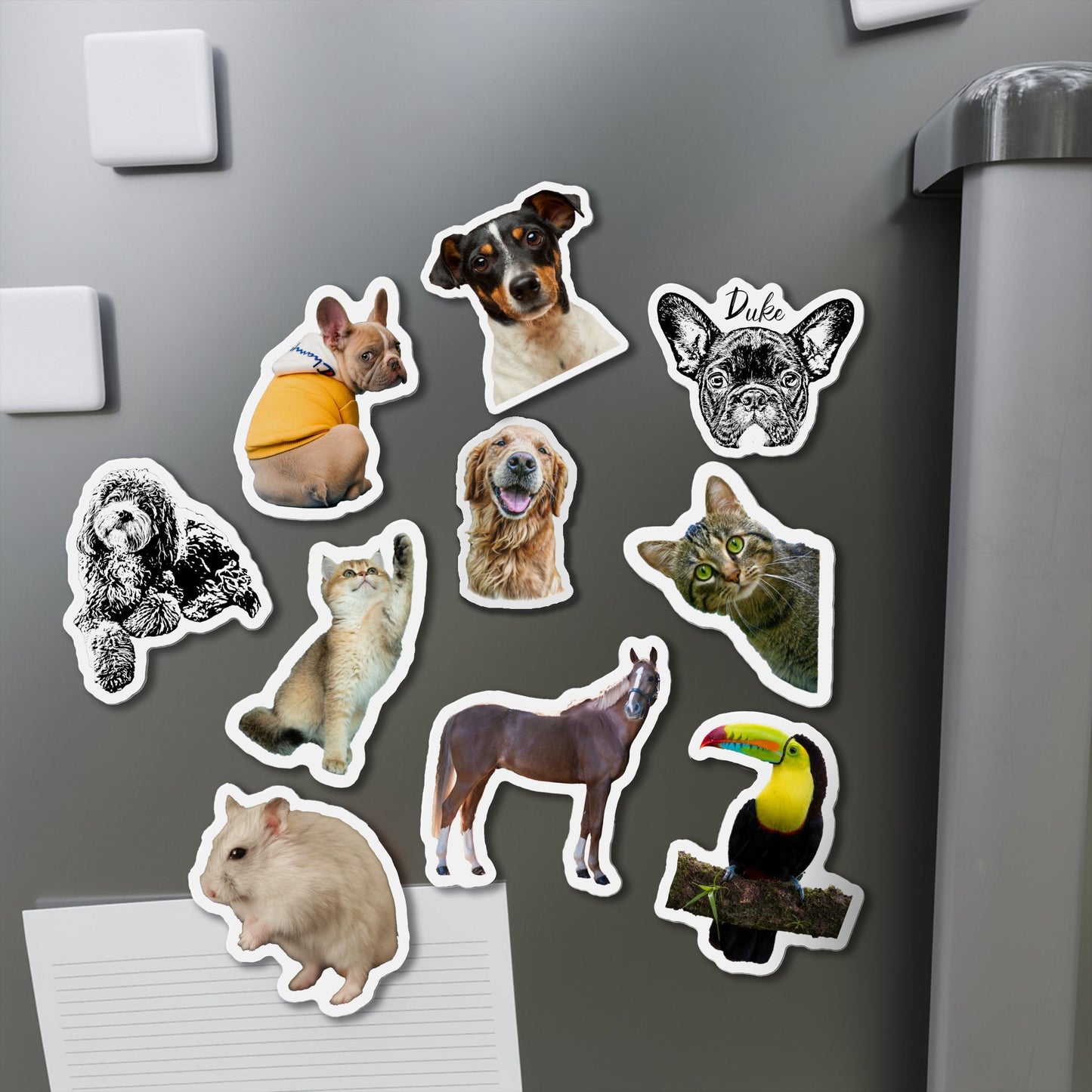 Custom Pet Dog Personalized Fridge Magnet