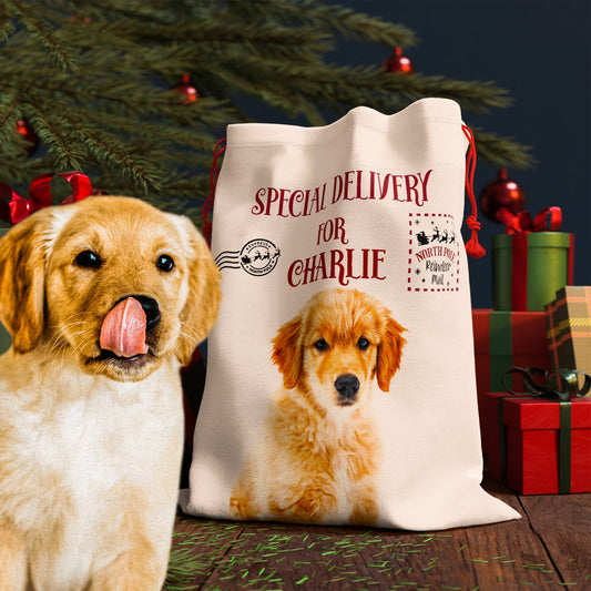 Customized Pet Santa gift Sack Christmas Bag - uveprint