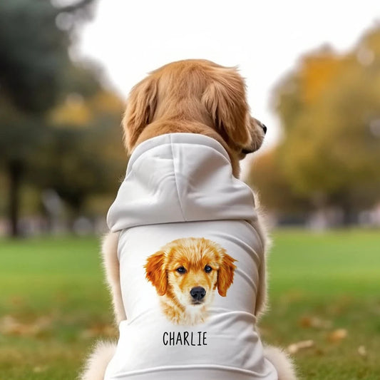 Personalized Dog Hoodie