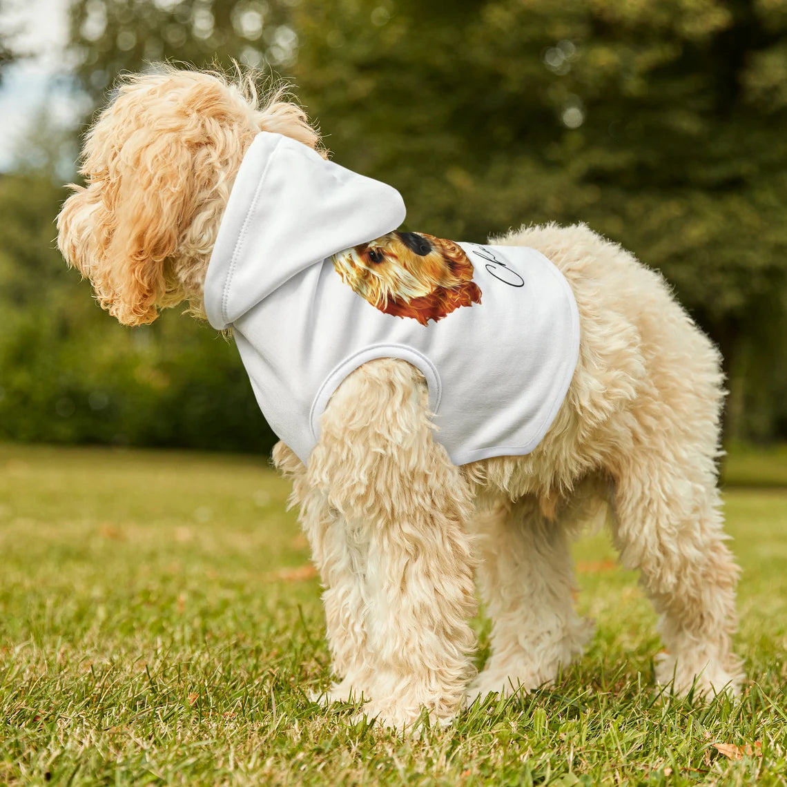 Personalized Dog Hoodie