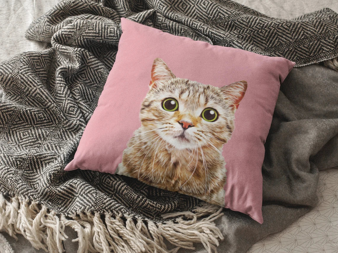 Custom Pet Pillow from photo