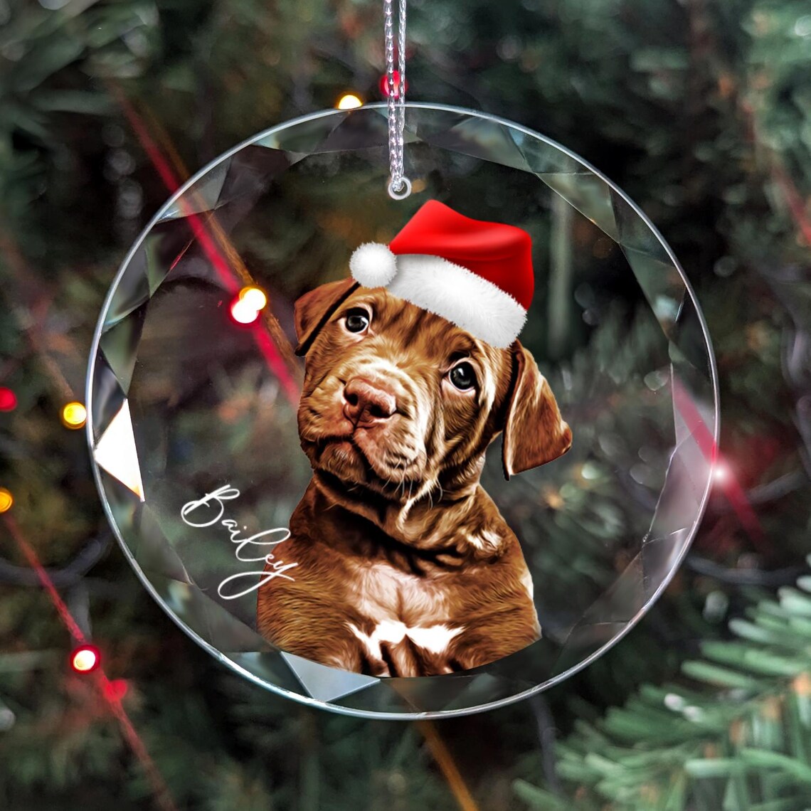 Personalized Pet Christmas Ornament