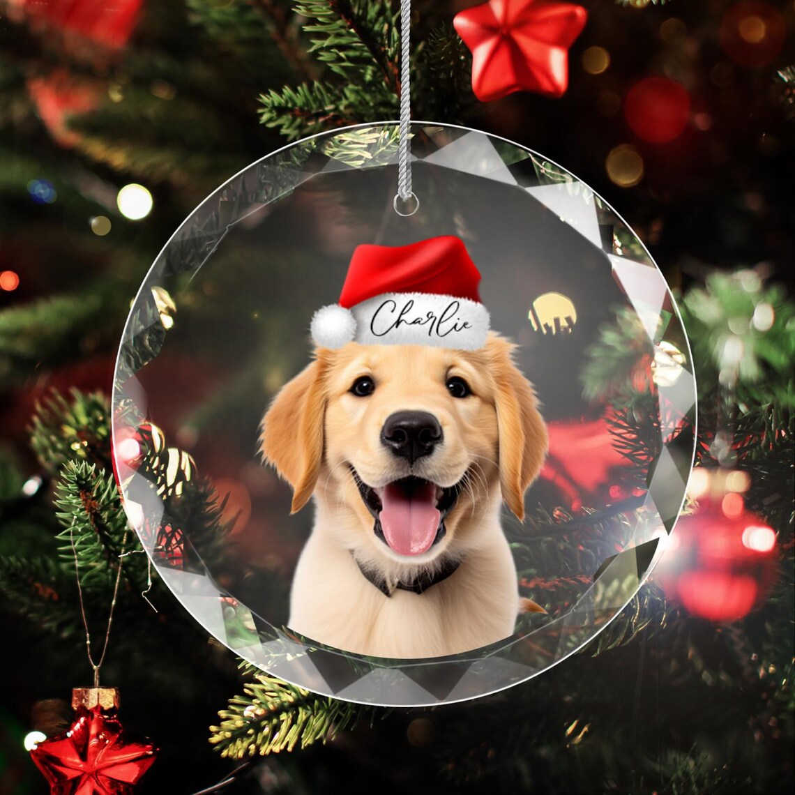 Personalized Pet Christmas Ornament