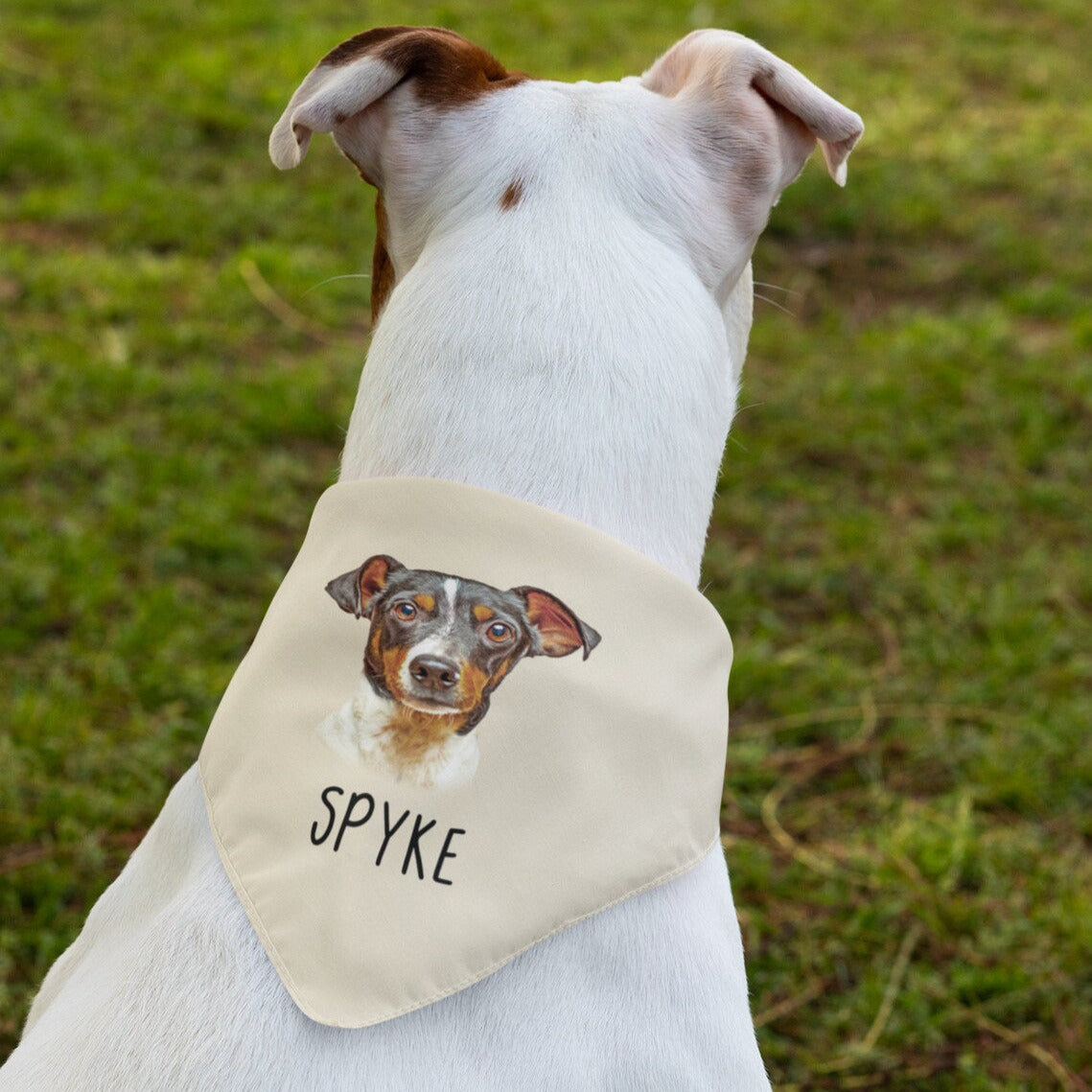 Custom Dog Face Bandana with name