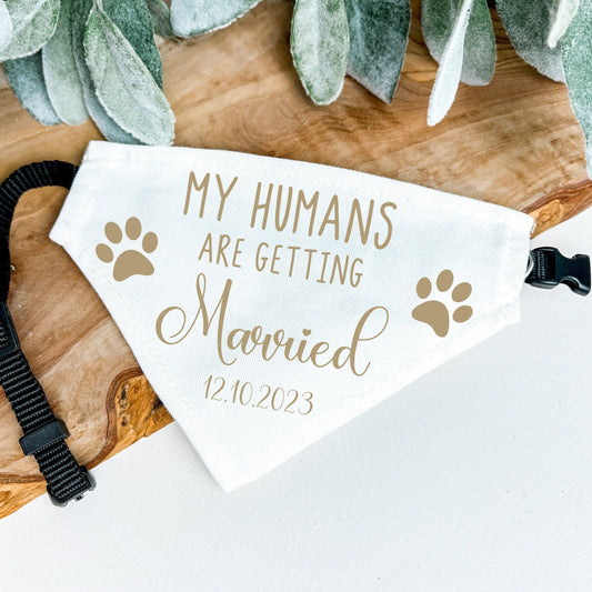 My Humans Are Getting Married - Custom Dog Bandana Collar