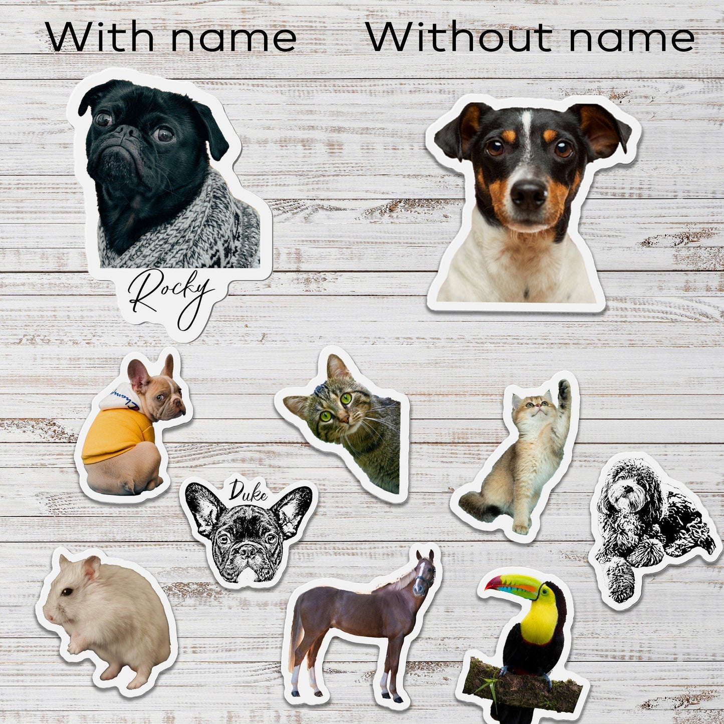 Custom Pet Fridge Magnet