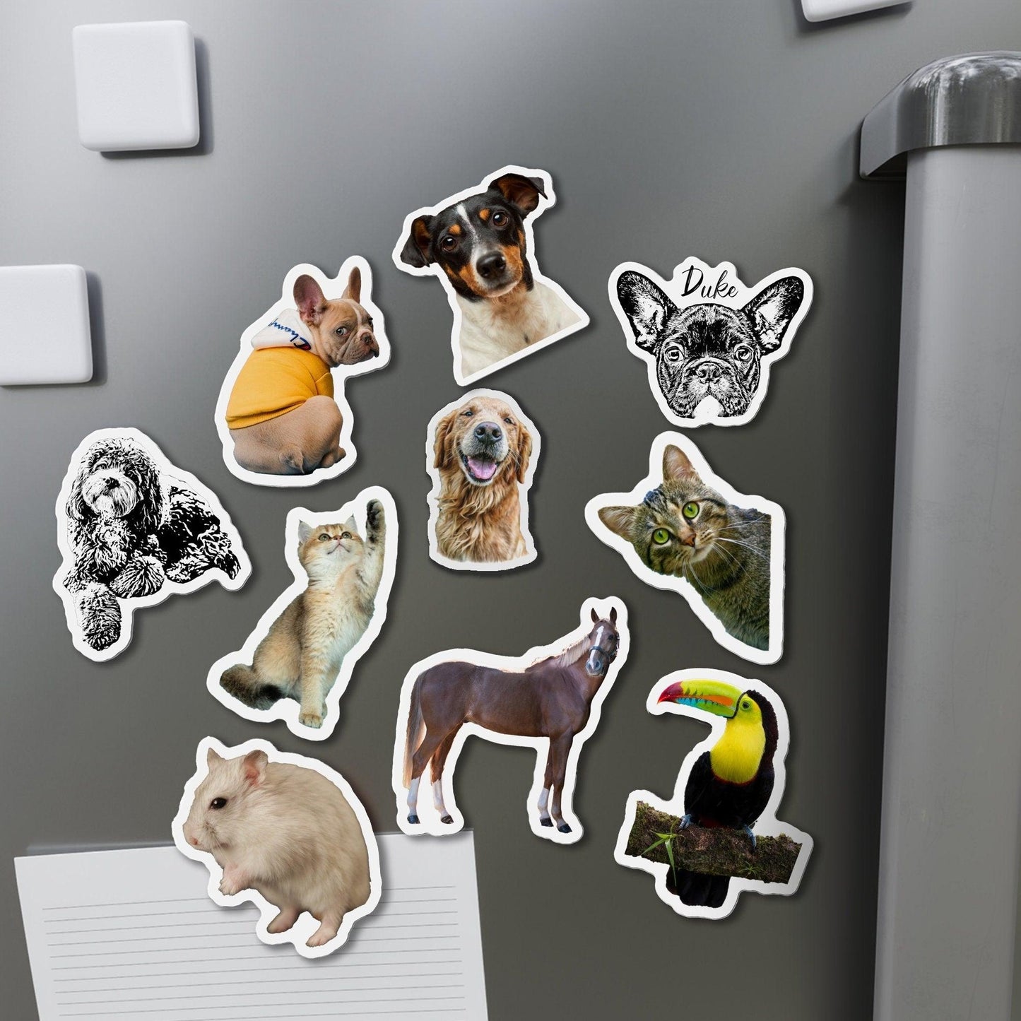 Custom Pet Fridge Magnet