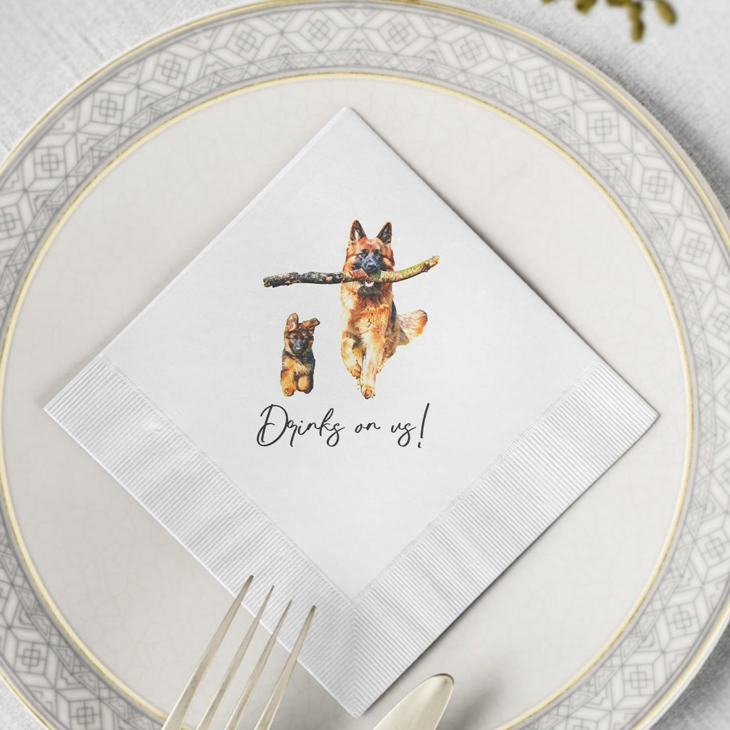 Custom Pet Cocktail Napkins colorful